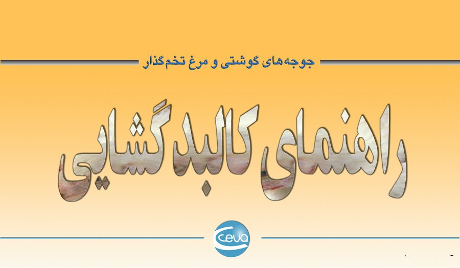 راهنمای کالبد گشایی جوجه های گوشتی و مرغ تخم گذار